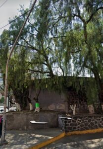 Terreno en Venta Av. Contreras San Jerónimo Aculco CDMX