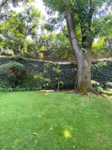 Casa en Venta San Jerónimo Lídice Magdalena Contreras CDMX