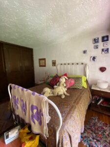 Casa en Venta San Jerónimo Lídice Magdalena Contreras CDMX