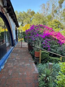 Casa en Venta Pueblo Nuevo Alto Magdalena Contreras CDMX