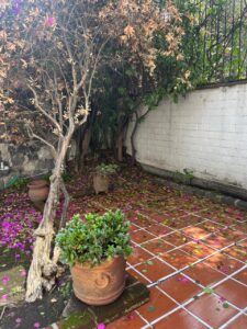 Casa en Venta San Jerónimo Lídice Magdalena Contreras CDMX
