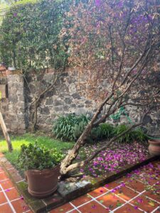 Casa en Venta San Jerónimo Lídice Magdalena Contreras CDMX