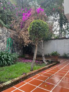 Casa en Venta San Jerónimo Lídice Magdalena Contreras CDMX